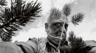 Lee Friedlander/Fraenkel Gallery