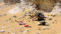 Theban Desert Road Survey