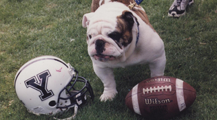 Yale Athletics