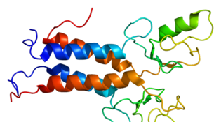 Wikimedia Commons