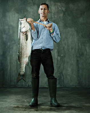 Robert Clark