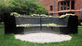 Mark Alden Branch ’86